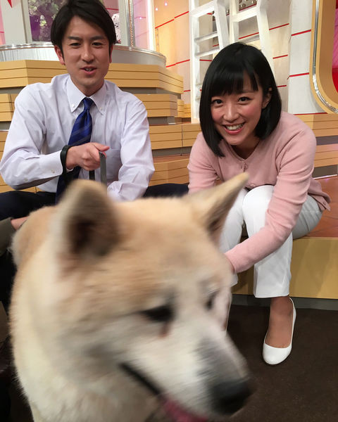 竹内由恵アナと秋田犬