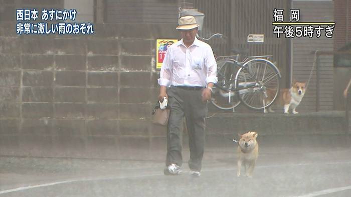 台風に犬の散歩