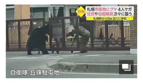 自衛隊、クマに力ずくて門を開けられ基地内に侵入される