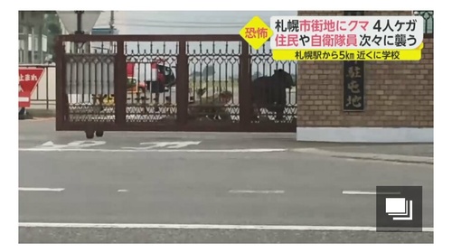 自衛隊、クマに力ずくて門を開けられ基地内に侵入される