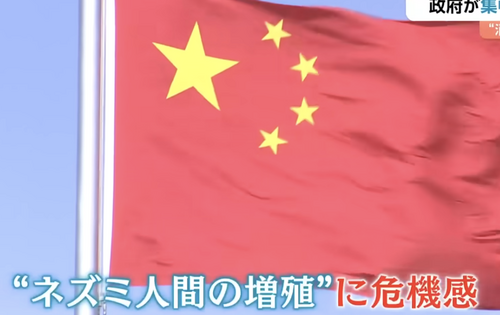 中国の若者、完全に無気力になりネズミ人間のようになってしまう