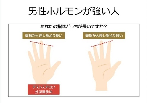 男性ホルモンが強い人