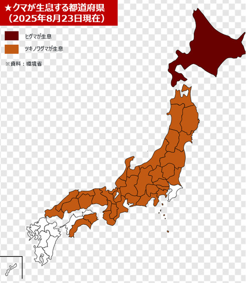 熊さんが生息する都道府県、謎すぎる