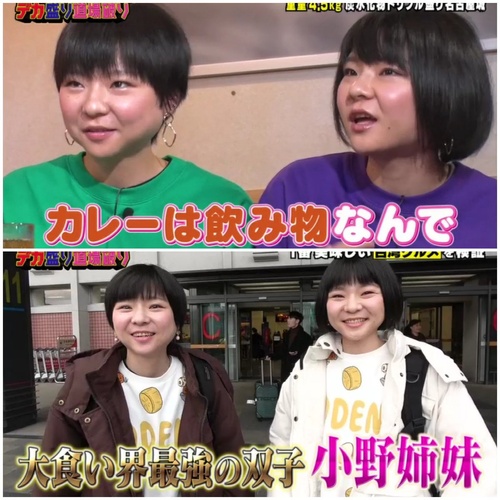 美人双子大食いYouTuber、活動休止