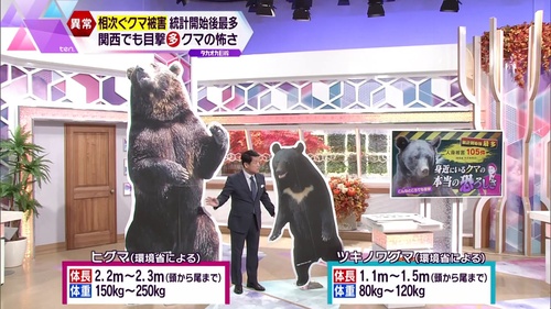 ヒグマとツキノワグマ