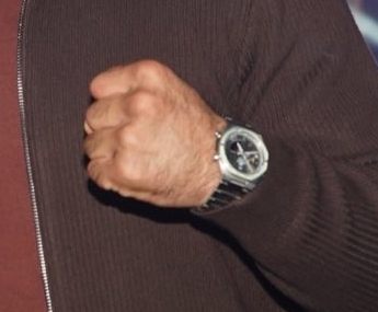 シェイドゥラエフの拳