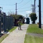 【動画】オーストラリアの日常、レベチｗｗｗｗｗ