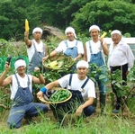 日本テレビ、「鉄腕ダッシュって別にTOKIOがいなくても成立するのでは?」と気付く