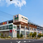 【悲報】刻みネギ(105円)を万引きした女さん、警備員をぶっ飛ばして逃走中