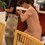 【朗報】やさしーヌ、旦那さんをぽこぽこに殴る奥さんを必死に止める